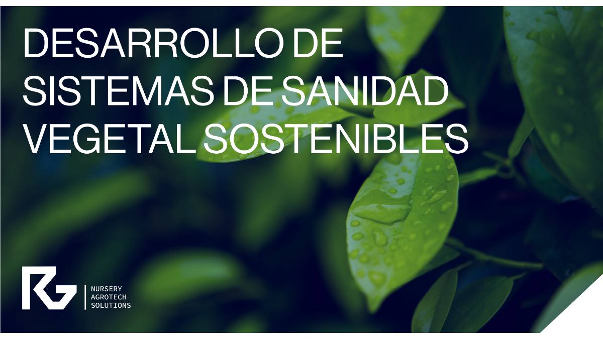 rg-projects-termoterapia-tecnologia-horticola|rg-projects-termoterapia-tecnologia-horticola|rg-projects-termoterapia-tecnologia-horticola|rg-projects-termoterapia-tecnologia-horticola|rg-projects-termoterapia-tecnologia-horticola|rg-projects-termoterapia-